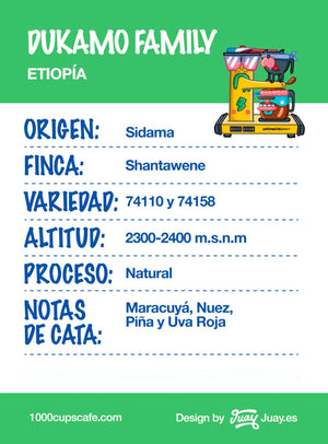Etiopía - Dukamo Family 87,75 P